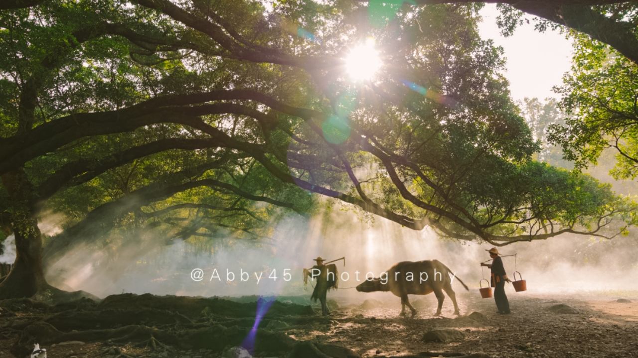 如果只有一天去浙江哪里玩,如果只有一天时间去哪玩