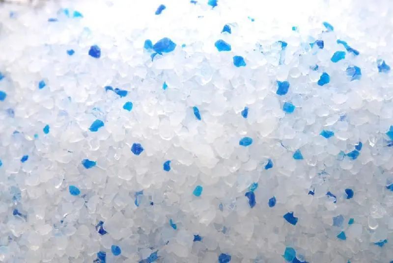 养小猫攻略,养2个月小猫攻略