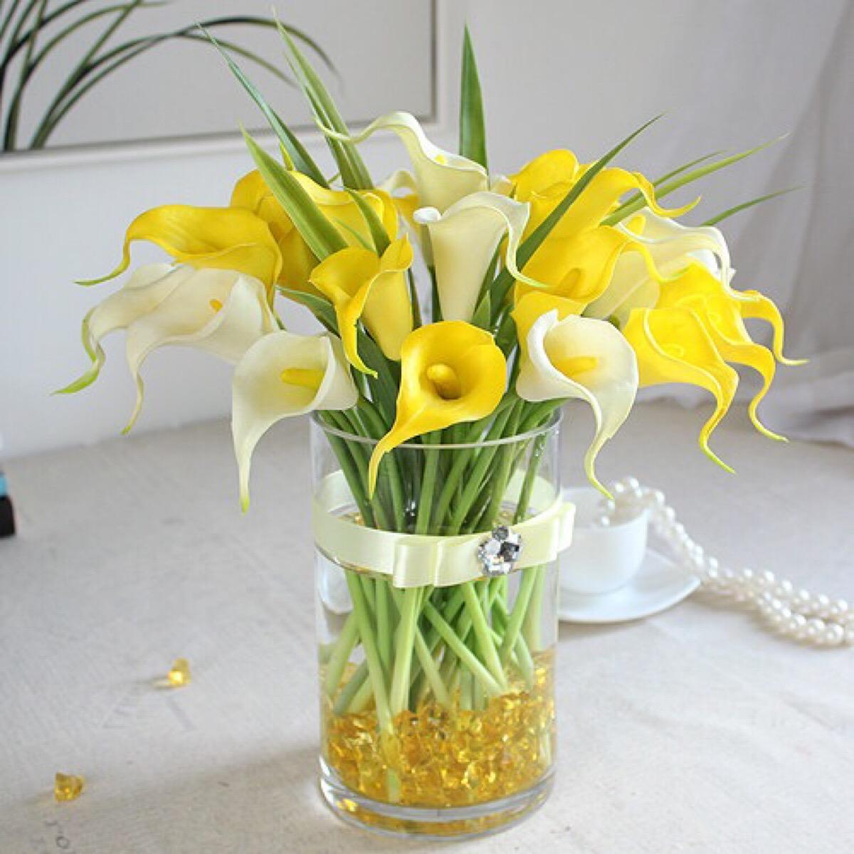 马蹄莲是马蹄开的花吗图片,叶子像马蹄的植物马蹄莲