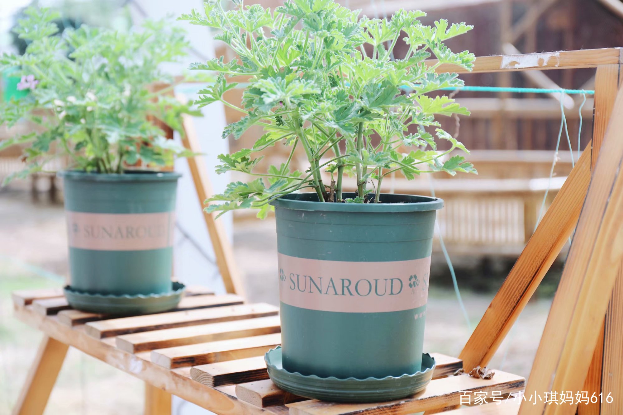 南京周边适合小众安静的旅行地,南京周边一天度假最好的地方