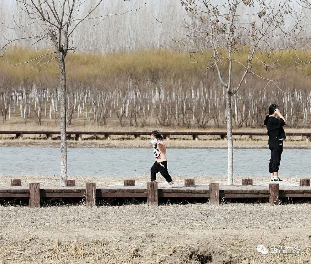 天津将新添一座公园预计开放时间,天津即将开放的公园在哪里