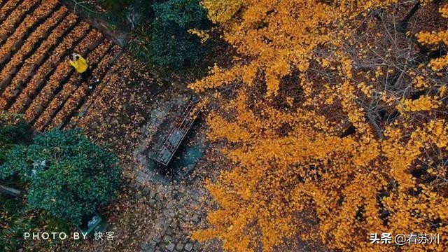 一入秋苏州怎就美成了姑苏,一入秋南京就成了金陵