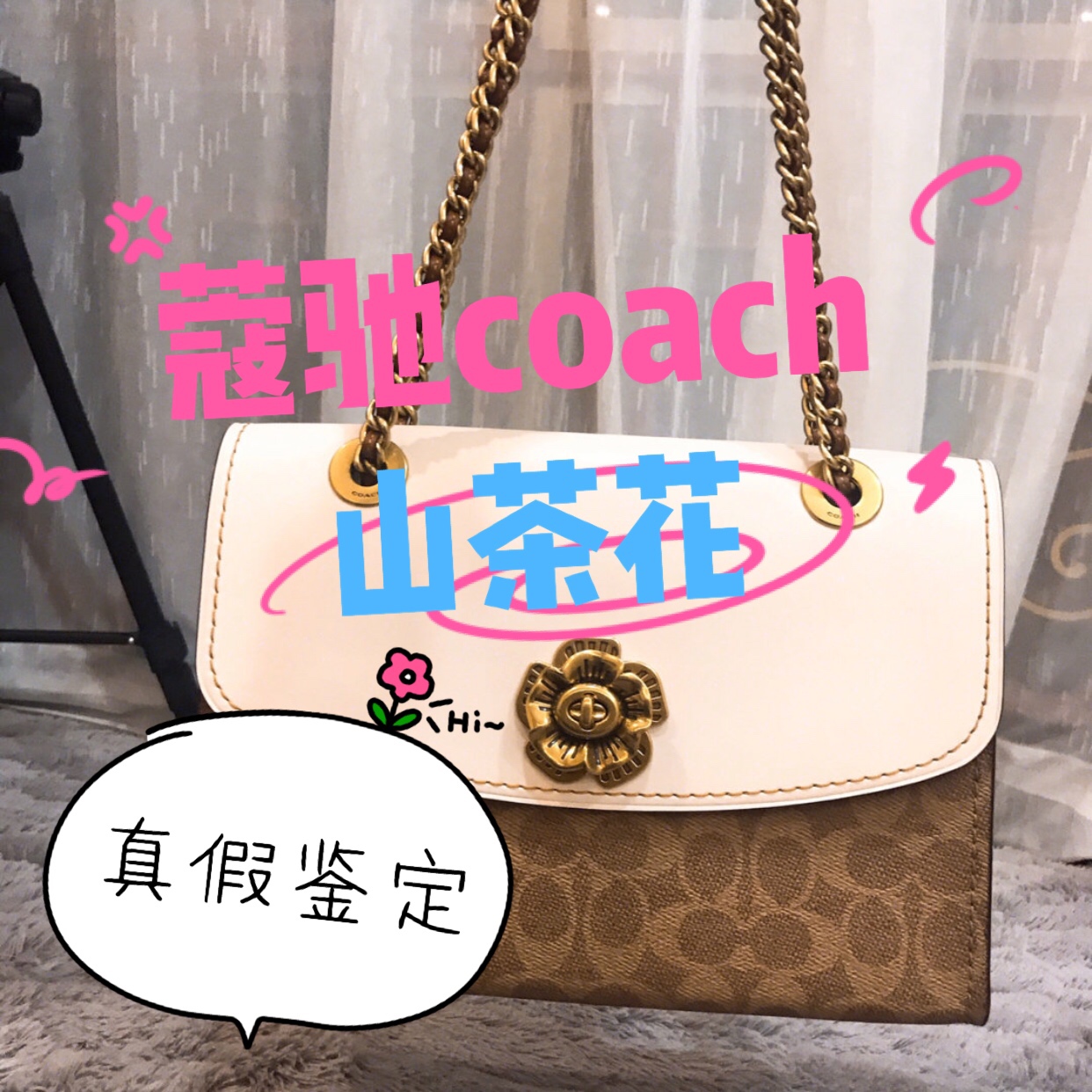 蔻驰coach山茶花包真假辨别,奢侈品鉴定包包真假gucci