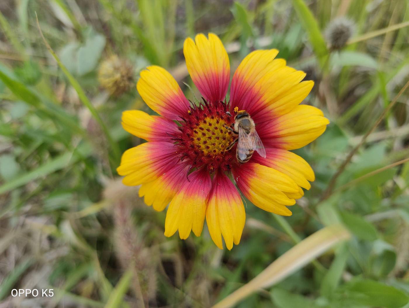 真硬核oppok5火爆来袭,oppo硬核手机