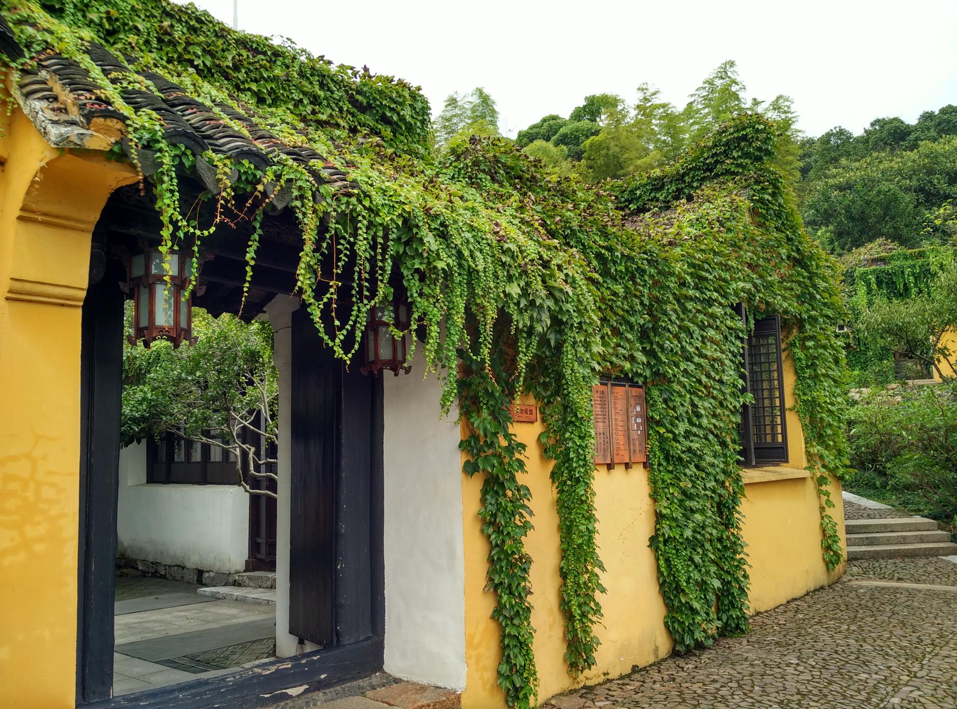 碧螺村边紫金庵，天下罗汉第一堂。