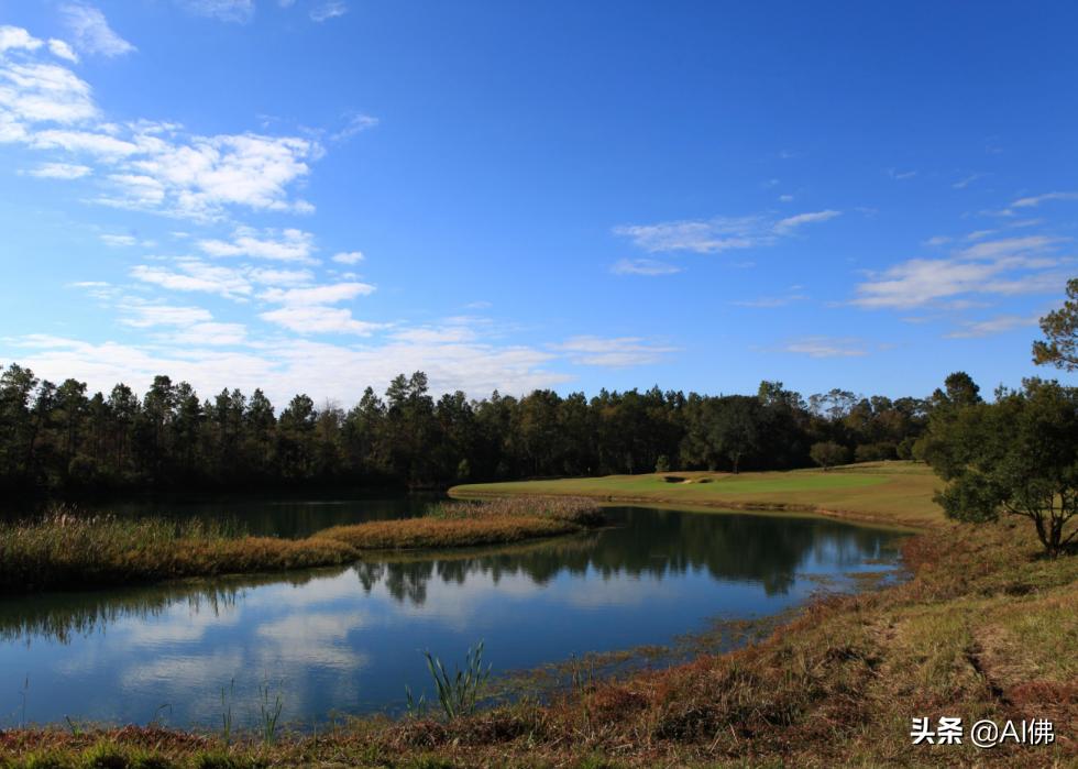 美国圆石滩高尔夫球场,美国高尔夫球场数量