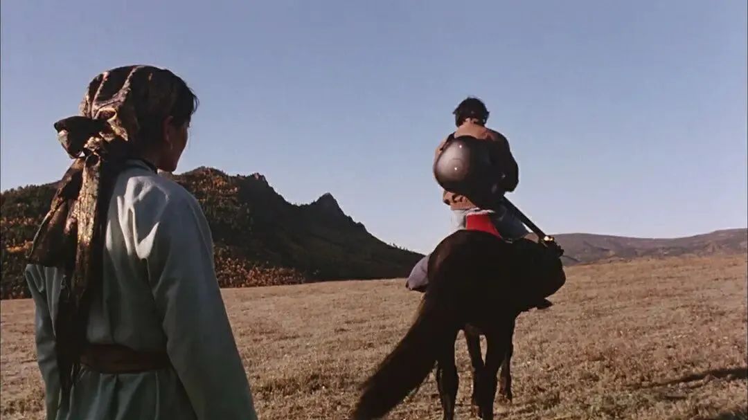 腾格尔曾经出演过哪部电影,腾格尔友情出演的电影