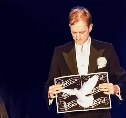 南沙葵园花海景区,广州南沙万顷葵园最佳旅游时间