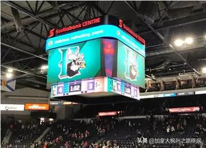 移民加拿大后，第一次在现场看激动人心的冰球比赛是种什么体验？