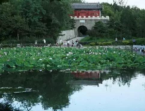 北京这38个森林公园您先收藏了!定个小目标,有空儿玩个遍!