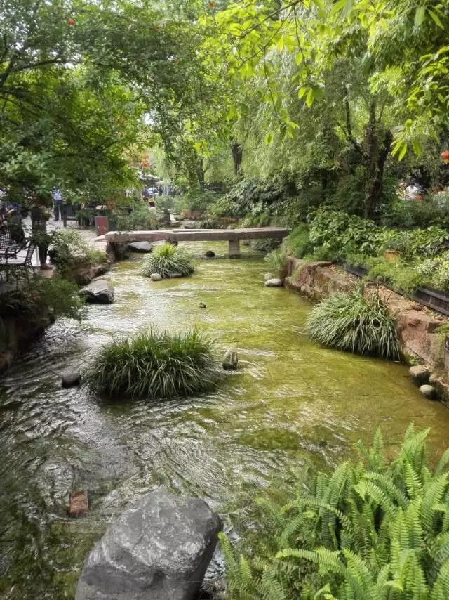 黄龙溪古镇到黄龙溪欢乐田园,黄龙溪古镇川西民俗文化街