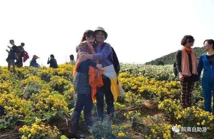 新安江山水画廊景区打卡景点,新安江山水画廊景区九砂晒秋节