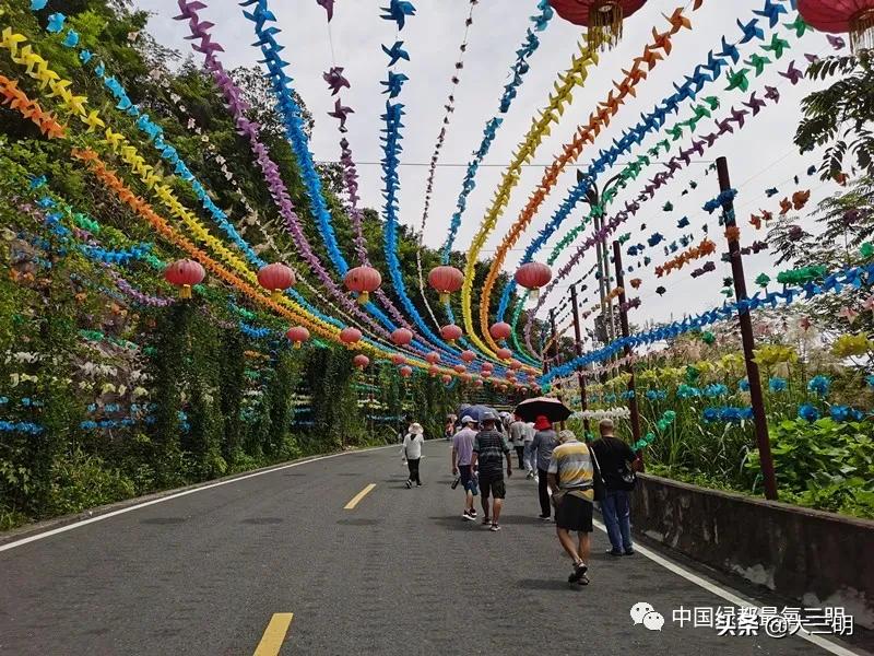菡萏初放，端午安康，三明文旅市场平稳回升