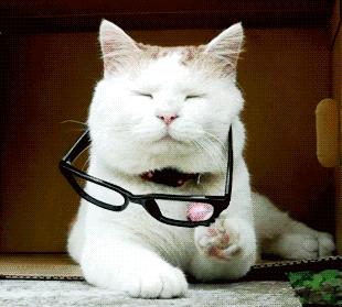 戚薇死鱼眼瞪人,戚薇死亡凝视