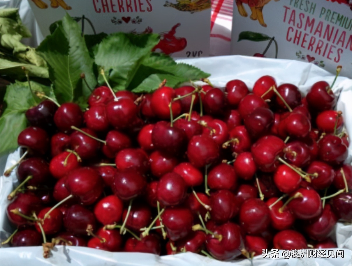 香港海关查获假冒伪劣,查获大批澳洲假货