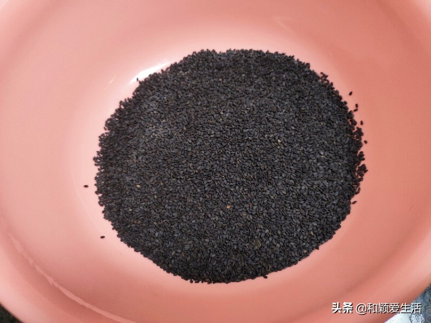 炒黑芝麻和冰糖一起炒,黑芝麻怎么做吃起来不苦