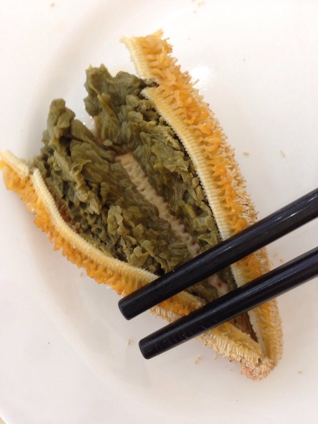 翻砂海星断脚什么原因,翻砂海星烂脚怎么办