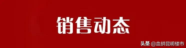南市区教育大盘,实探学区