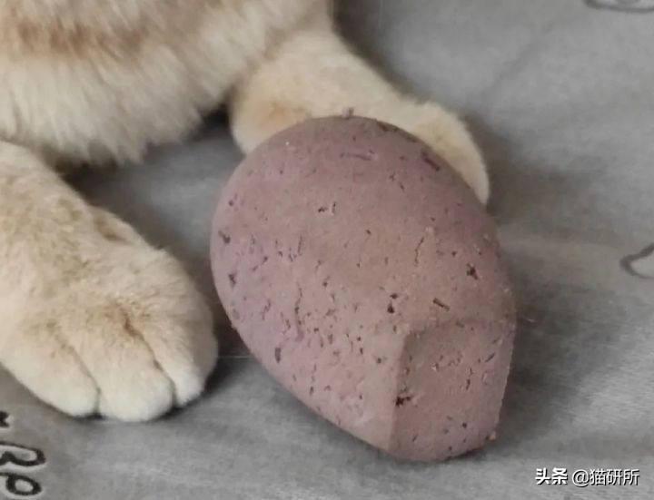 怎么惩罚猫咪挠沙发,猫咪不会挠坏的沙发