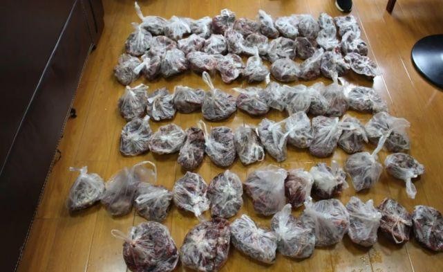 男子使用万元“神器”专业打鸟！3个月干掉1000余只斑鸠