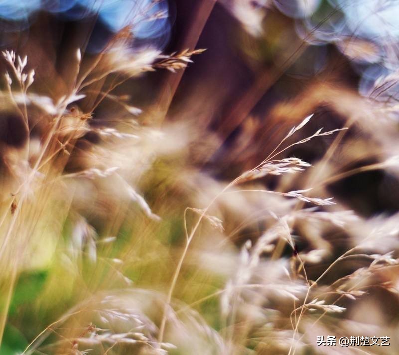 老同学一路走好愿天堂没痛苦,老同学一路走好的哀悼短句子