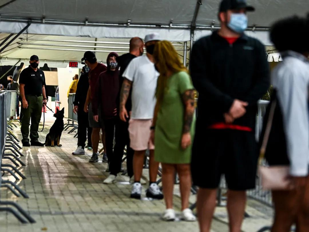 核酸检测太麻烦?10秒出结果的狗狗牌新冠探测器了解一下