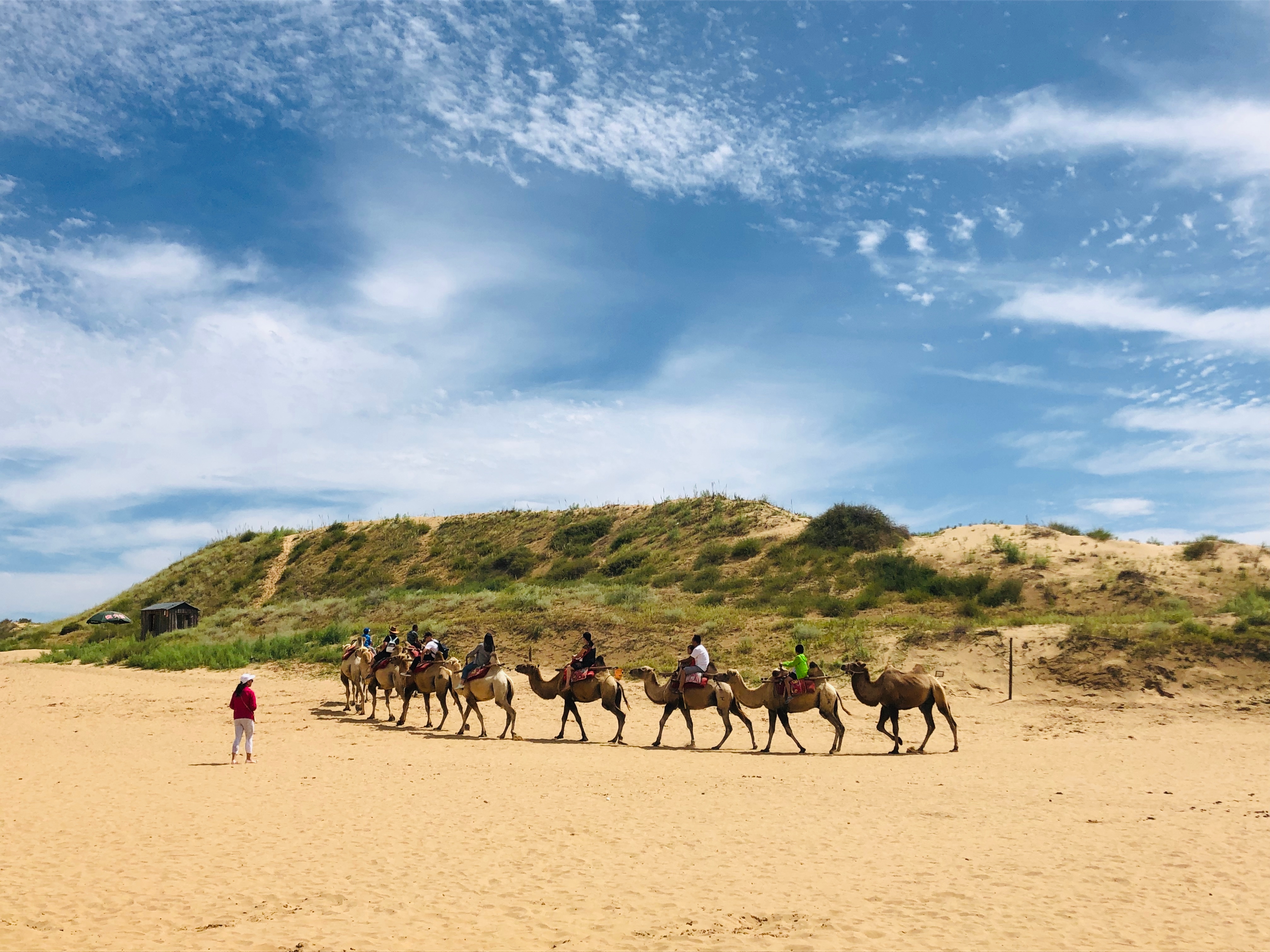 内蒙呼和浩特市内游,五一内蒙古呼和浩特及周边游