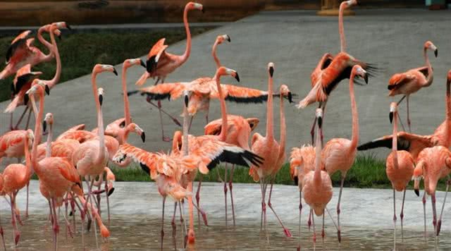 广东省内自然风光旅游景点,广东旅游景点推荐一览表