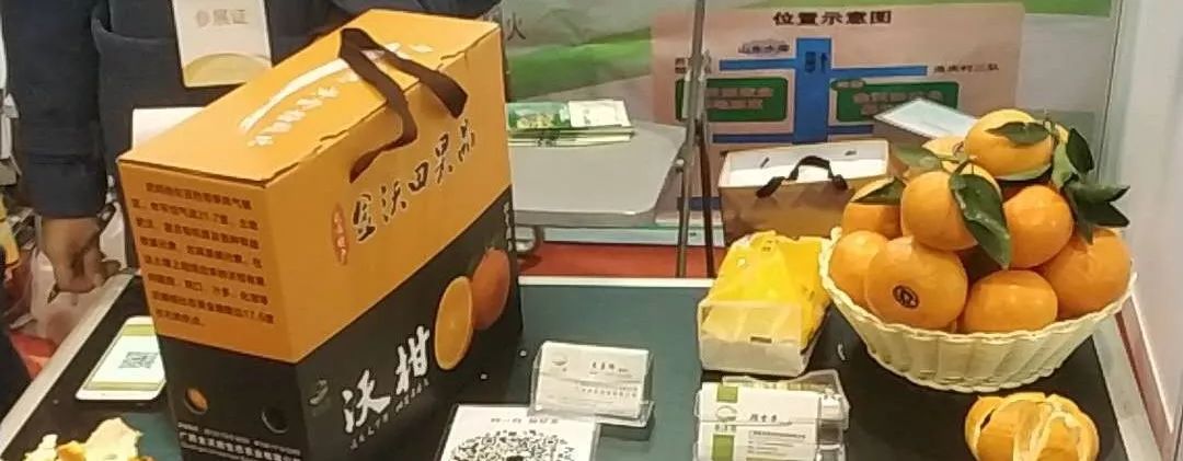 家里没有沃柑，不准娶我女儿？沃柑到底是有多赚钱？