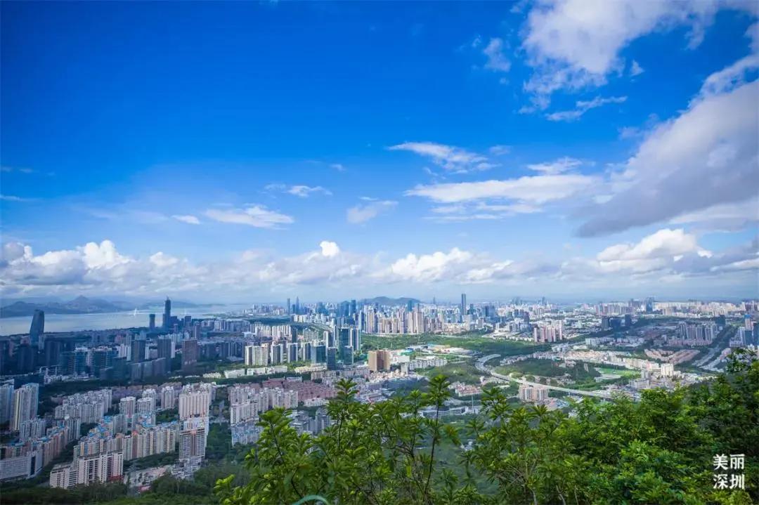 不离深也能“游”|公园超全攻略来了！千园之城，总有一款公园适合你