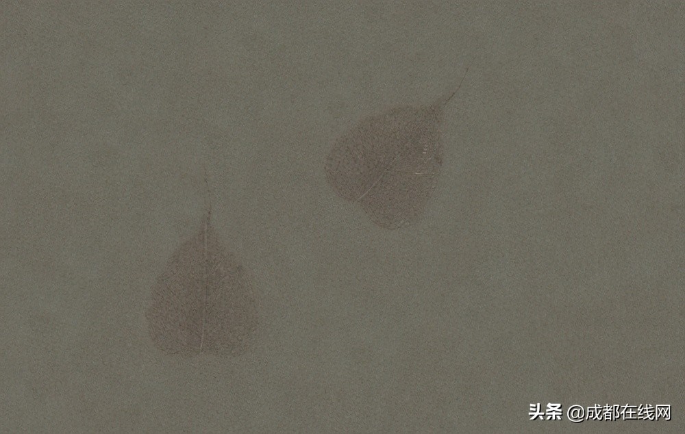 家装涂料哪个牌子好用环保,家装内墙涂料哪个牌子好