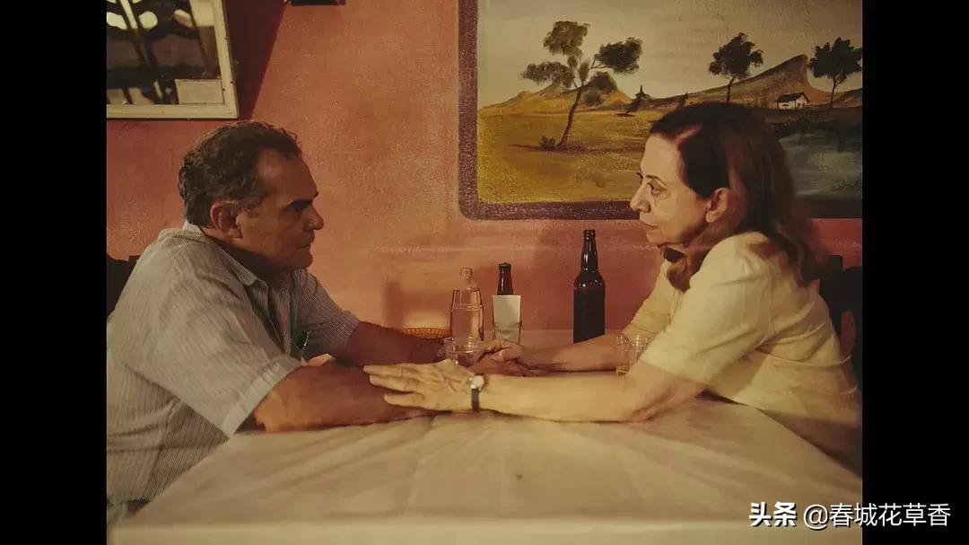 中央车站朵拉,朵拉为什么要见梅子