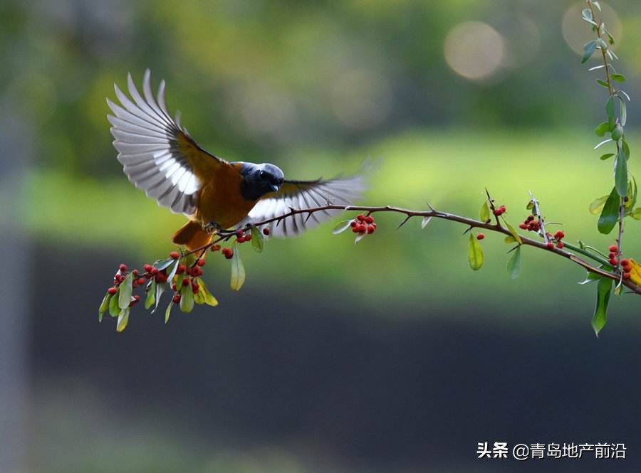 你的窗外,你的窗外有月亮吗