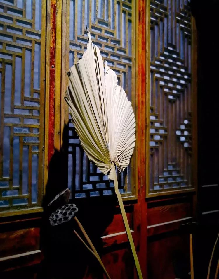 漫随天外云卷云舒免费,漫随天外云卷云舒抖音