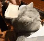 2020最火三大发型趋势时髦显脸小,2020年最流行的发型显脸小