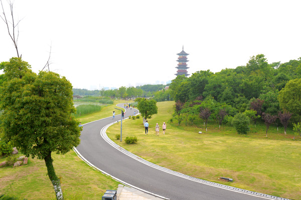 南昌动物园哪里有大象,南昌大象公园