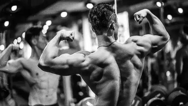 如何健身才是对身体有好处的方式,不同体型的人怎样健身效果最好