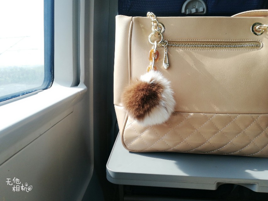 失信人能坐t字头车吗,失信人员是否可以乘坐d字头卧铺