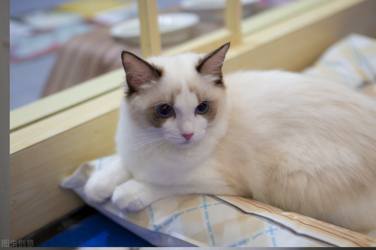 行测言语理解填空直播,行测的言语理解与表达怎么做