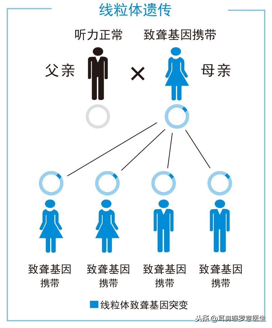 妈妈,我吃了感冒药后聋了——耳毒*药性**物,你了解吗