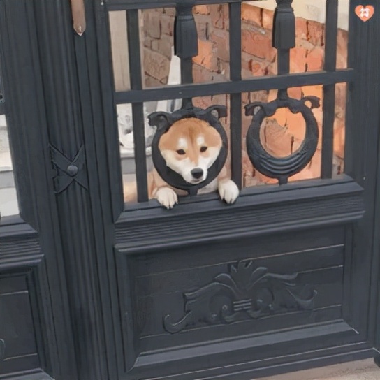 怒砸千亿港元！高盛、美林正召唤所有留学生前往香港…