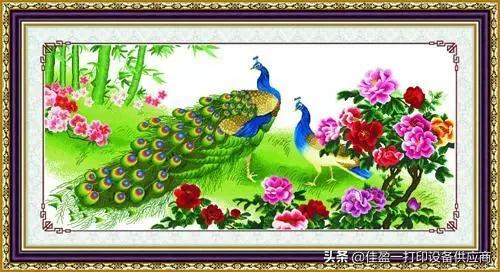 喷墨软件,喷墨软件应用