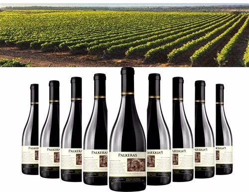 它是老广专属的中秋香甜，皮薄馅靓，邻居都问哪买的