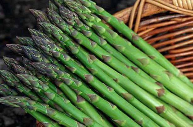 芦笋种上几年产量大,怎样种植芦笋收益大