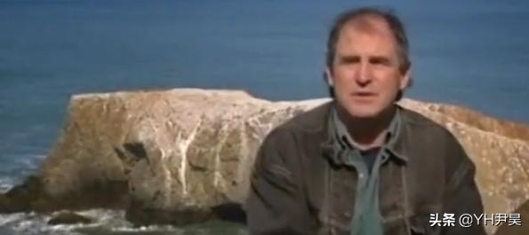 发生在美国的罕见事件，大白鲨遭遇神秘生物捕杀，真相颠覆认知