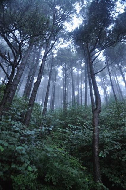 徐建成散文随笔选,徐建成的散文随笔