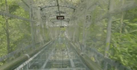 短、平、快、爆！那些蹿红网络的景区二消业态大汇总