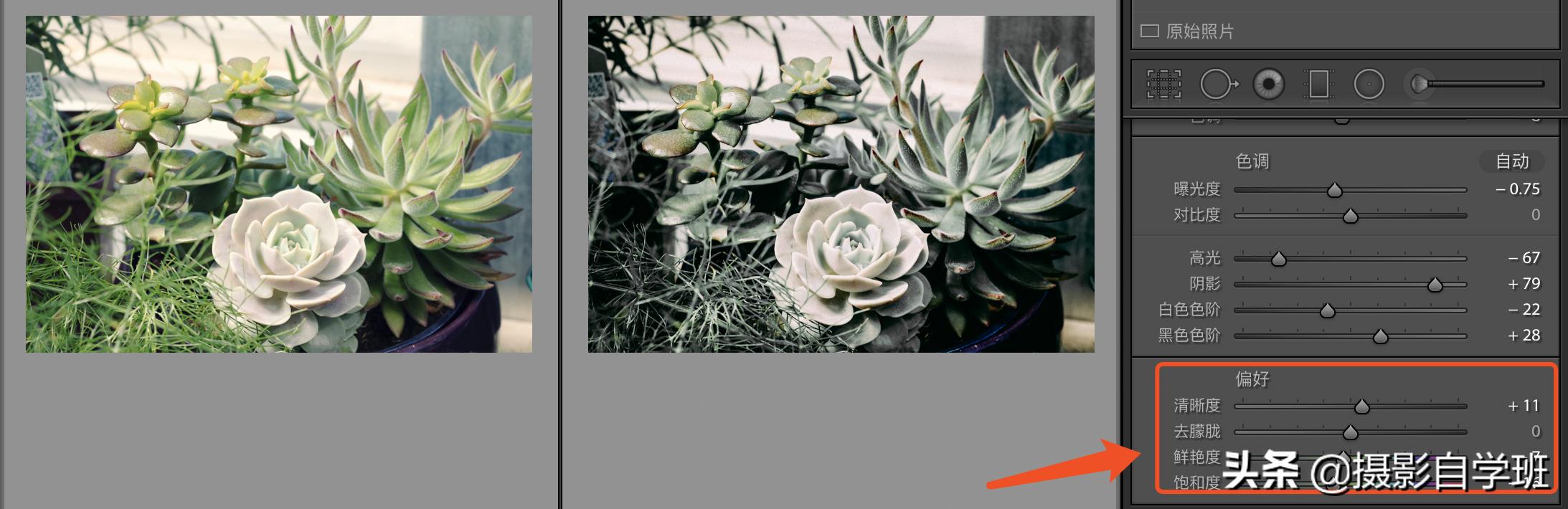 风景照片调色教程lr调色思路,lr修图红色怎么调成青色