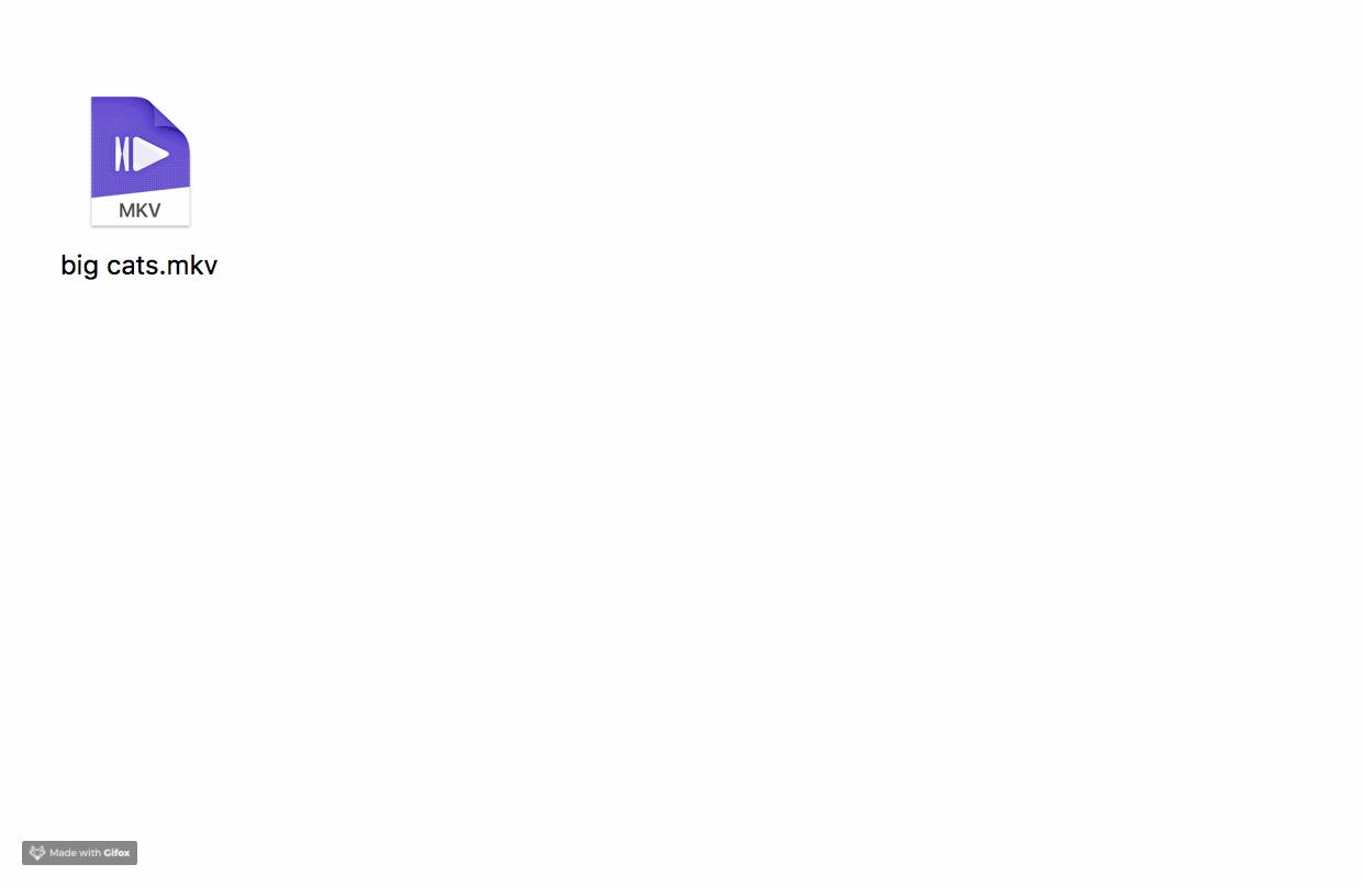 苹果电脑的option键失灵,苹果电脑option对应普通键盘