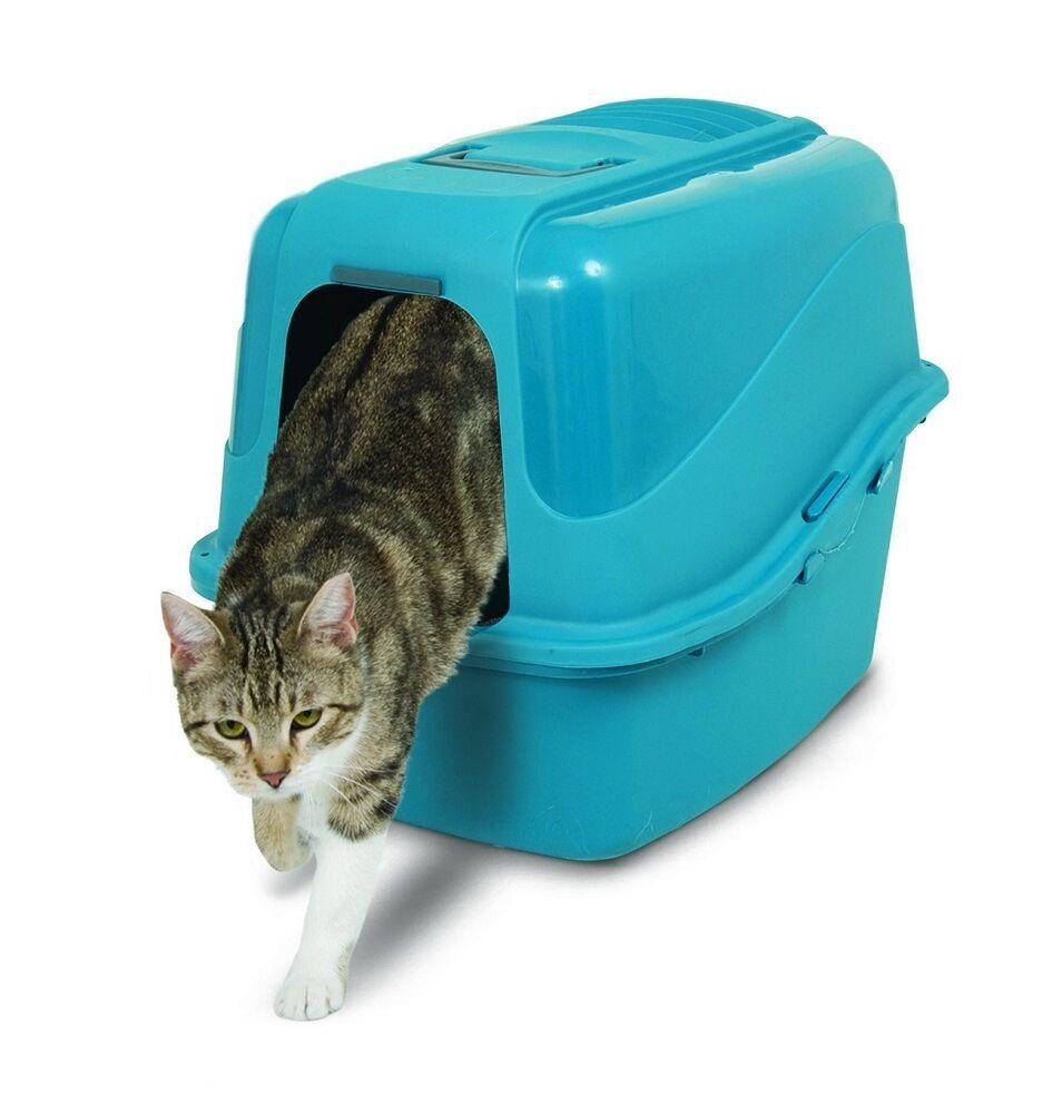 绝育猫为什么会一直往外跑,猫猫绝育会影响排泄吗